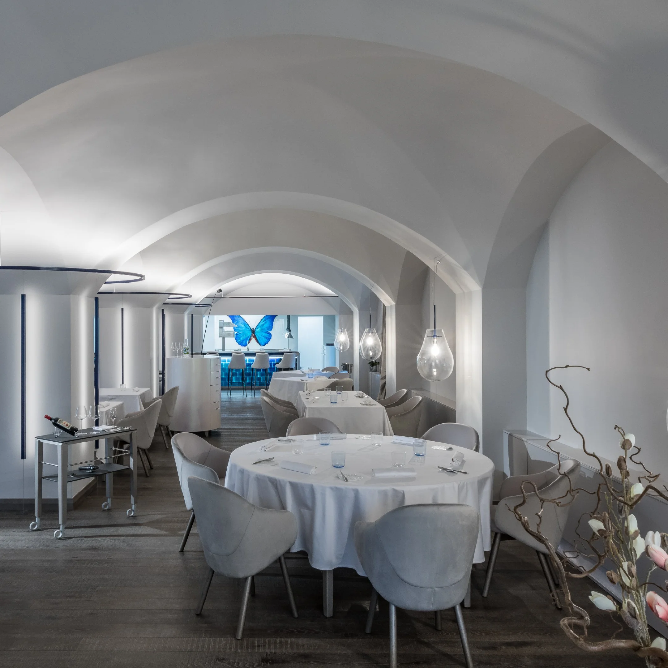 Restaurace Papilio